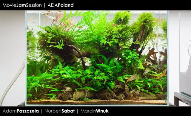 ADA Cube Garden 60H