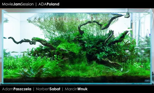 ADA Cube Garden 90P