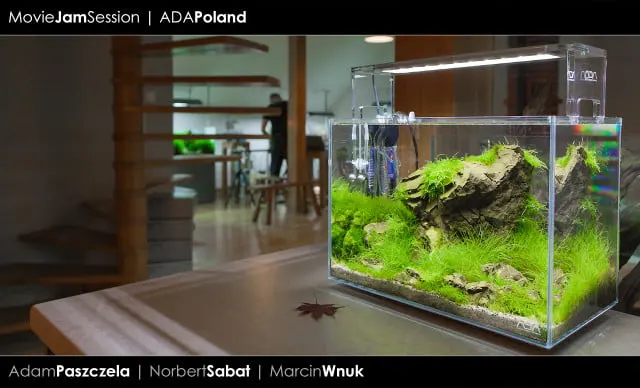 ADA Mini M