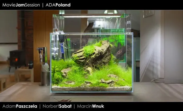 ADA Mini M