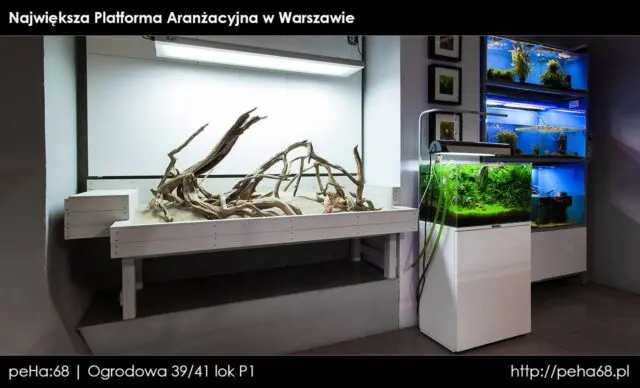 platforma arażnacyjna