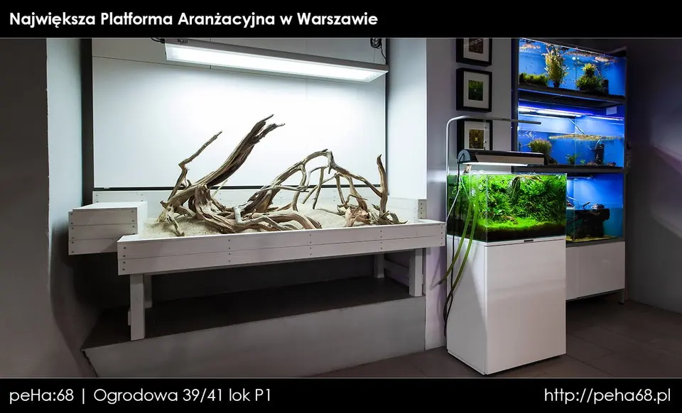 platforma arażnacyjna
