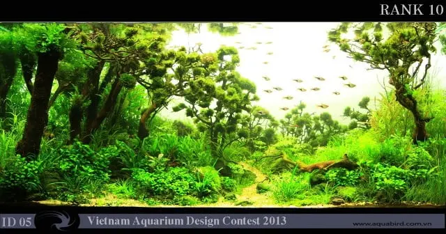 VACD 2013 rank 010