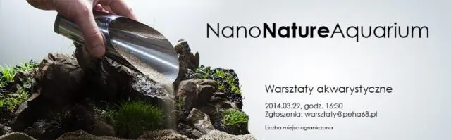 Nano Akwarium - Warsztaty