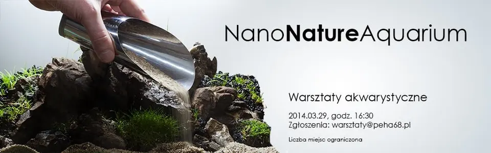 Nano Akwarium - Warsztaty