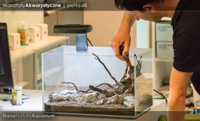Warsztaty akwarystyczne - Nano Nature Aquarium 016