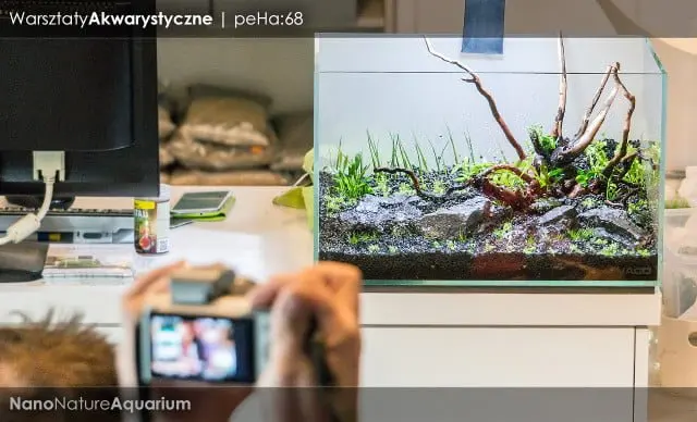 Warsztaty akwarystyczne - Nano Nature Aquarium 022