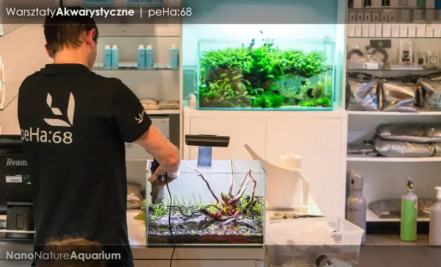 Warsztaty akwarystyczne - Nano Nature Aquarium 025