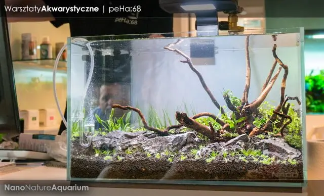 Warsztaty akwarystyczne - Nano Nature Aquarium 034