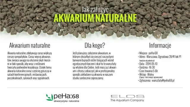 warsztaty - akwarium naturalne