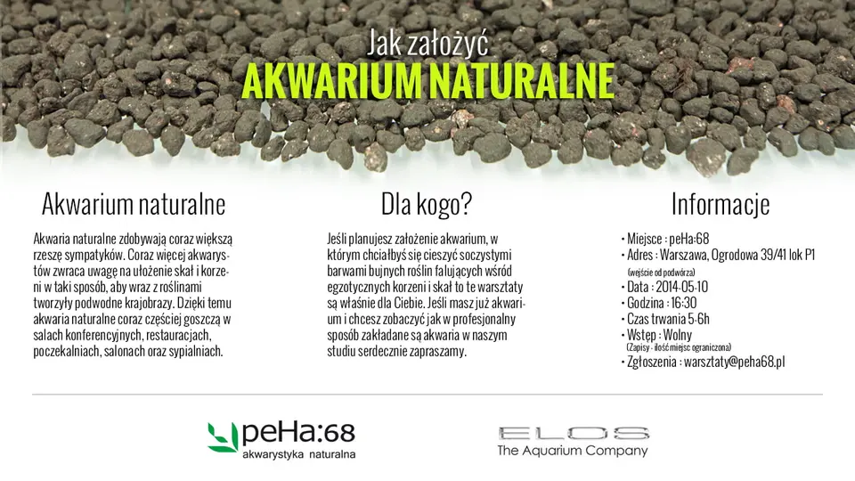 warsztaty - akwarium naturalne