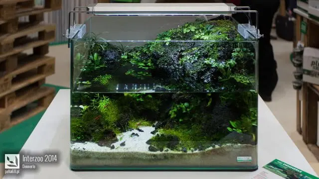 Interzoo 2014 - Dennerle