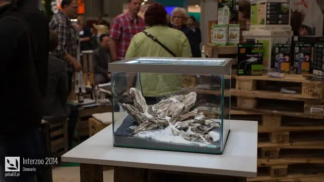 Interzoo 2014 - Dennerle