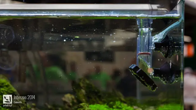 Interzoo 2014 - Dennerle
