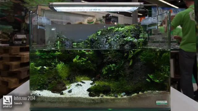 Interzoo 2014 - Dennerle