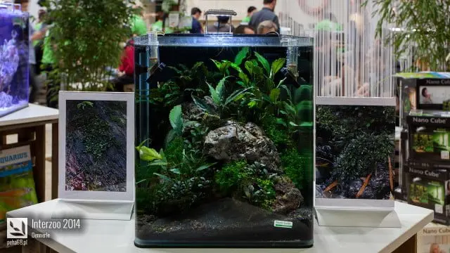 Interzoo 2014 - Dennerle
