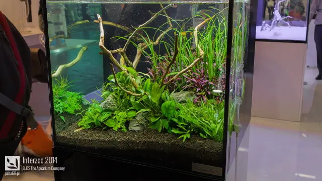 Interzoo 2014 - ELOS