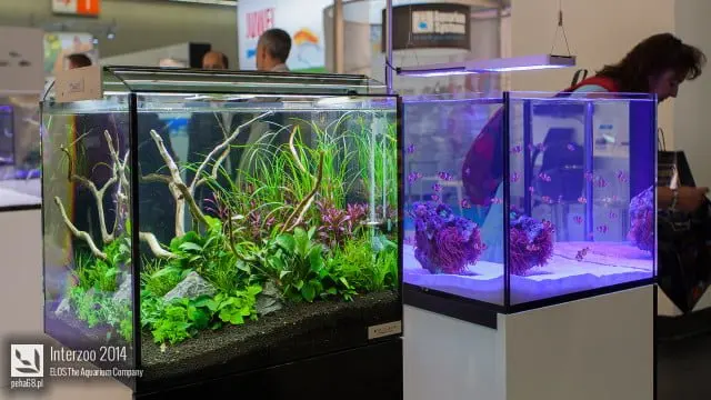 Interzoo 2014 - ELOS