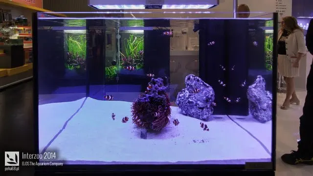 Interzoo 2014 - ELOS