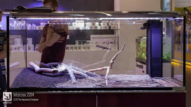 Interzoo 2014 - ELOS