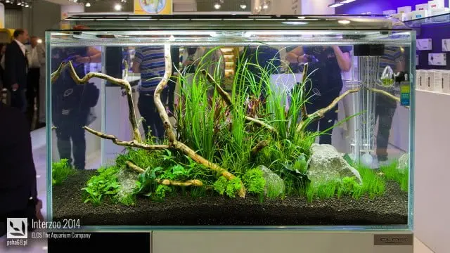 Interzoo 2014 - ELOS