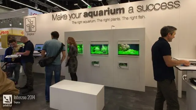 Interzoo 2014 - Tropica
