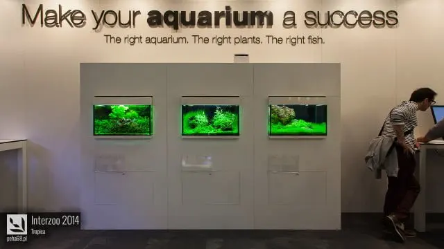Interzoo 2014 - Tropica