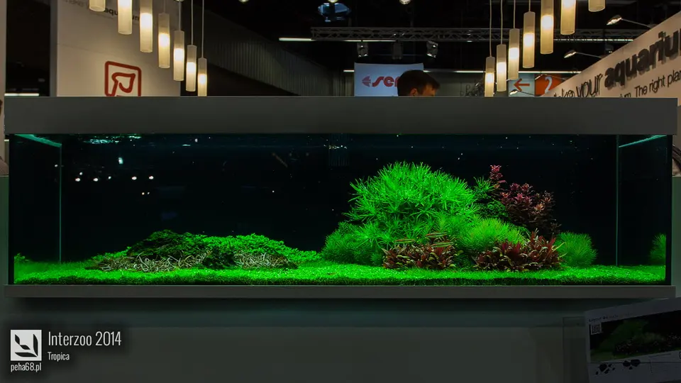 Interzoo 2014 - Tropica