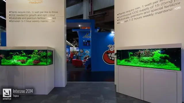 Interzoo 2014 - Tropica