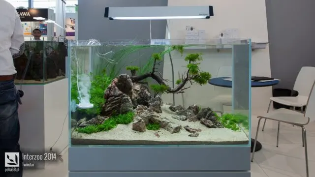 Interzoo 2014 - Twinstar