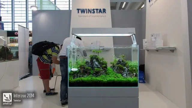 Interzoo 2014 - Twinstar