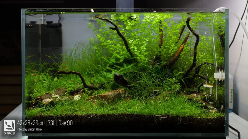 Nano akwarium