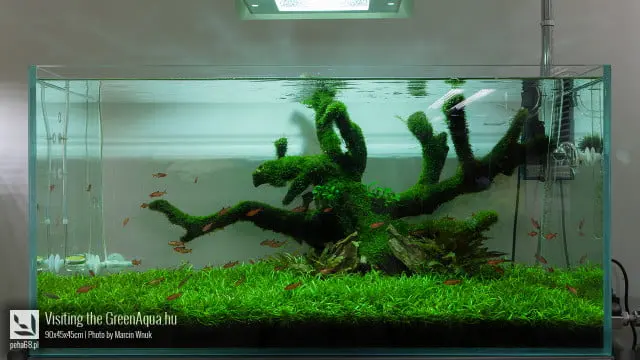 Green Aqua 002
