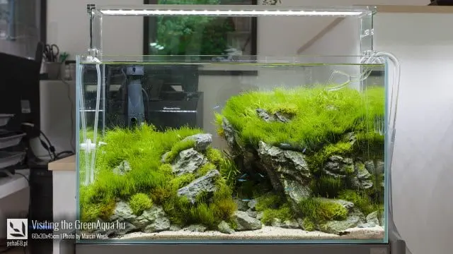 Green Aqua 008