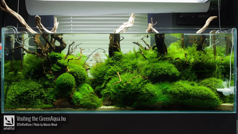 Wizyta w Green Aqua (Węgry)