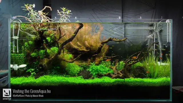 Green Aqua 014