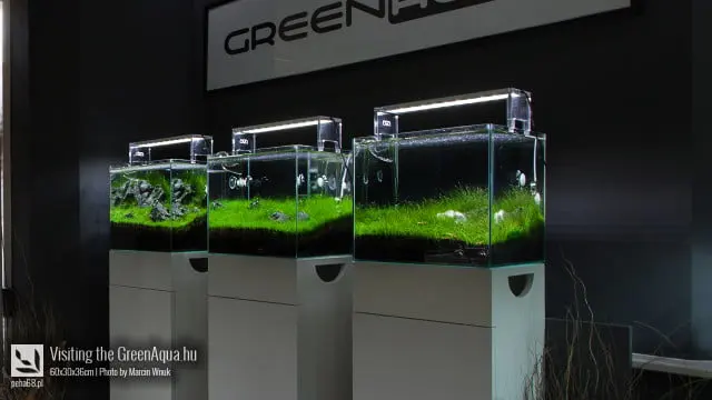 Green Aqua 022