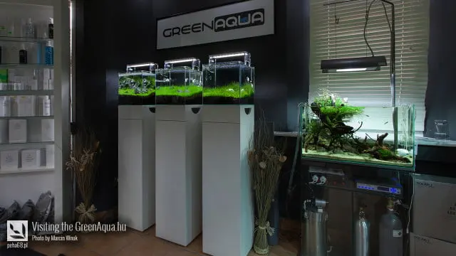 Green Aqua 023