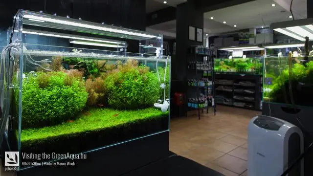 Green Aqua 025