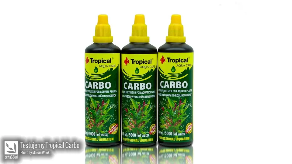 Tropical Carbo