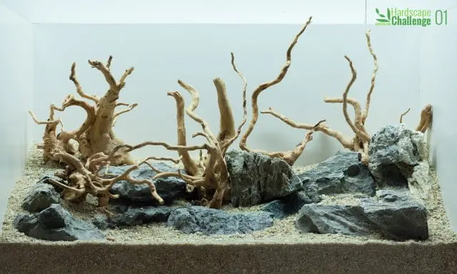 peHa:68 Hardscape Challenge 2014 - Dawid Szczepański