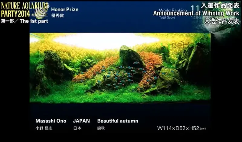 11. Masashi Ono - Beautiful autumn