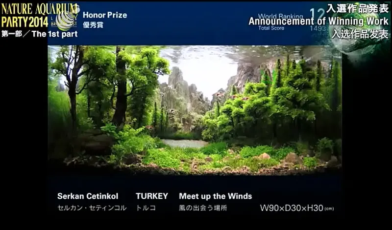 12. Serkan Cetinkol - Meet up the Winds