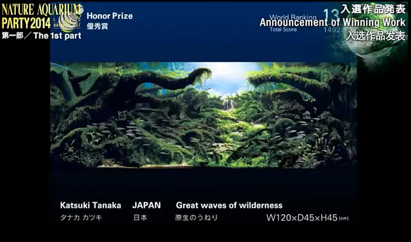13. Katsuki Tanaka - Great waves of wilderness