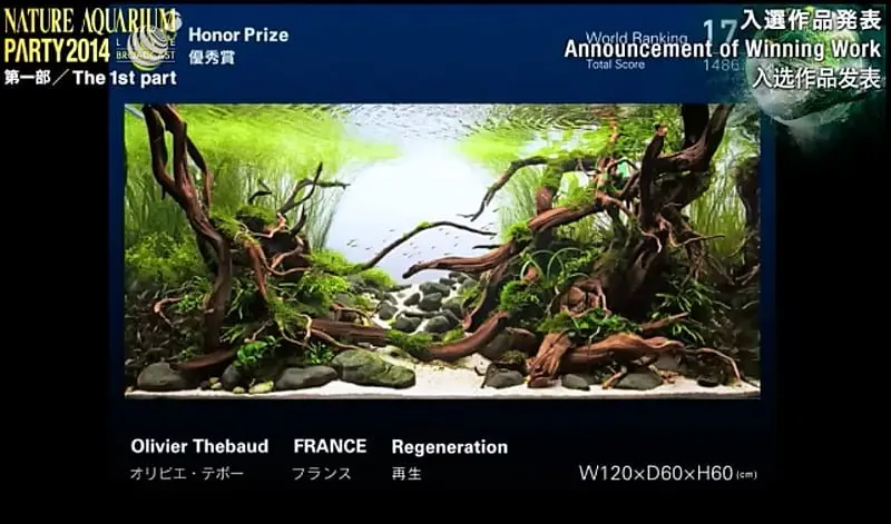 17. Olivier Thebaud - Regeneration