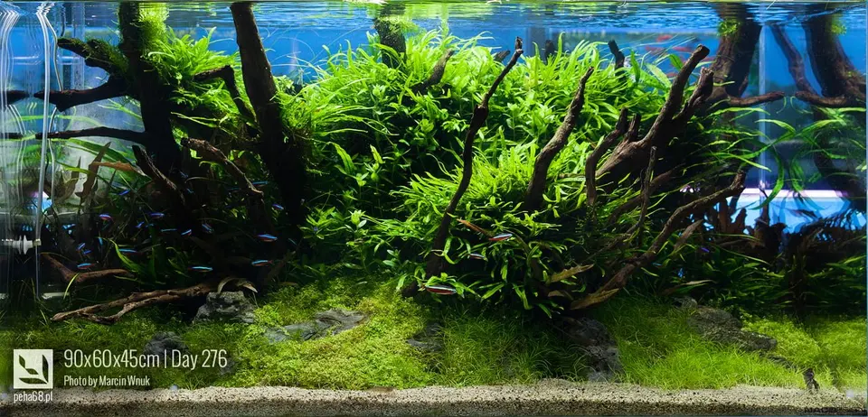 90x60x45cm | 243L