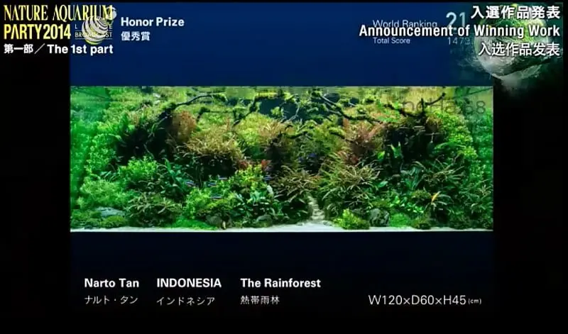 21. Narto Tan - The Rainforest
