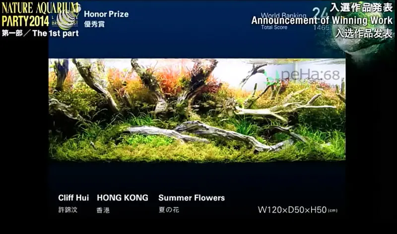 24. Cliff Hui - Summer Flowers