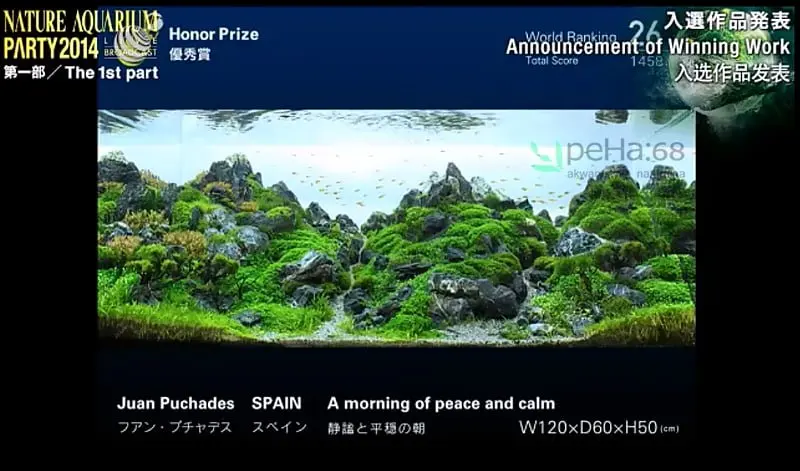 26. Juan Puchades - A morning of peace and calm