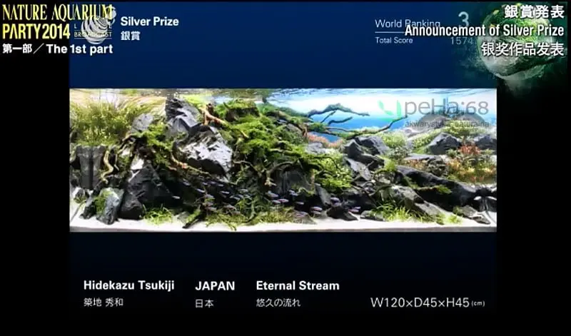 3. Hidekazu Tsukiji - Eternal Stram